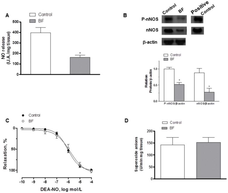 https://cdn.ncbi.nlm.nih.gov/pmc/blobs/0b12/3544726/6bb9e9b2b4b4/pone.0053802.g005.jpg