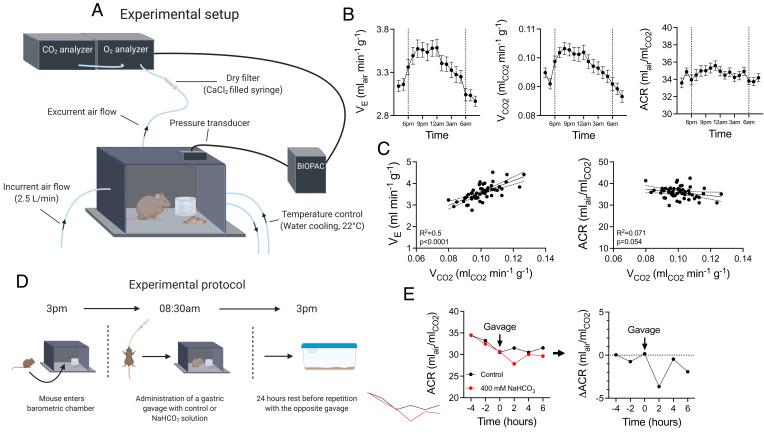 https://cdn.ncbi.nlm.nih.gov/pmc/blobs/0b12/8872776/c59c3c02c9fa/pnas.2116836119fig01.jpg