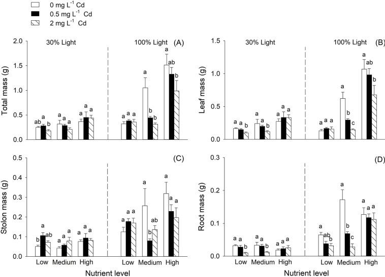 https://cdn.ncbi.nlm.nih.gov/pmc/blobs/0b14/9847952/15a04c51e812/pone.0280449.g001.jpg