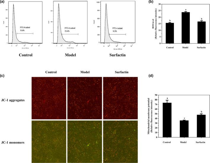 https://cdn.ncbi.nlm.nih.gov/pmc/blobs/0b16/9281957/91b0e141aec4/FSN3-10-2455-g007.jpg