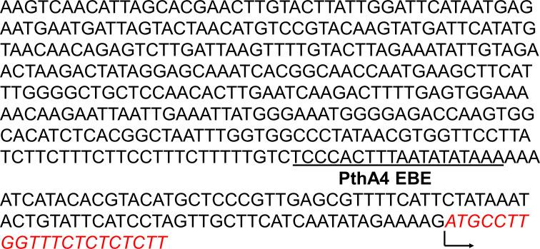 https://cdn.ncbi.nlm.nih.gov/pmc/blobs/0b19/11321762/4dd2b0983d48/elife-91684-fig1-figsupp1.jpg