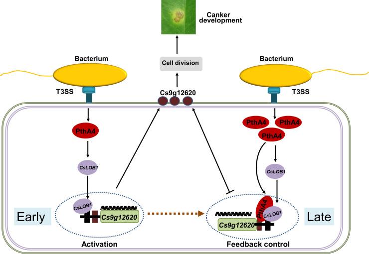 https://cdn.ncbi.nlm.nih.gov/pmc/blobs/0b19/11321762/878d0794d3f0/elife-91684-fig8.jpg