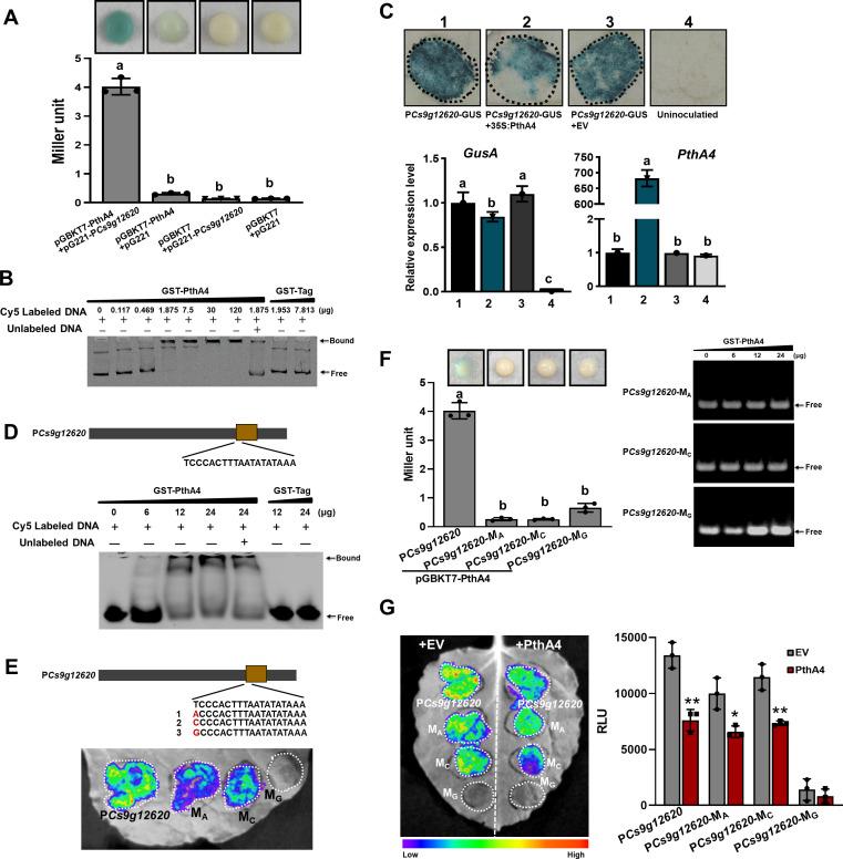 https://cdn.ncbi.nlm.nih.gov/pmc/blobs/0b19/11321762/e206410d0f31/elife-91684-fig3.jpg