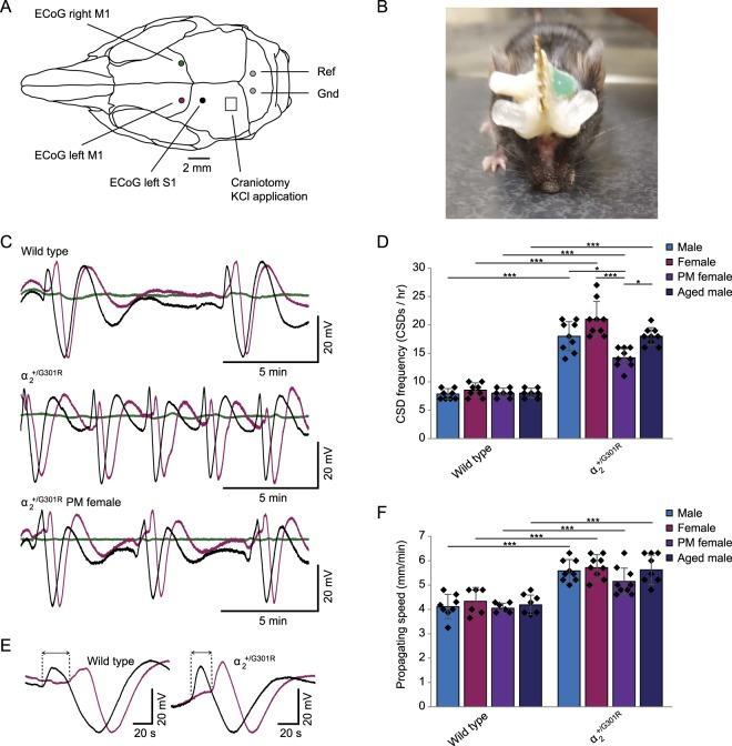 https://cdn.ncbi.nlm.nih.gov/pmc/blobs/0b19/6240030/38f739c4ea4f/41598_2018_35285_Fig1_HTML.jpg