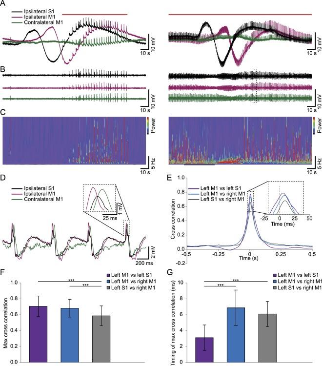 https://cdn.ncbi.nlm.nih.gov/pmc/blobs/0b19/6240030/fd760af100ae/41598_2018_35285_Fig4_HTML.jpg