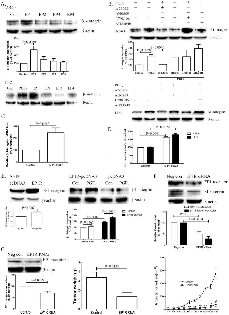 https://cdn.ncbi.nlm.nih.gov/pmc/blobs/0b1a/5031967/08c16db9896f/srep33823-f4.jpg