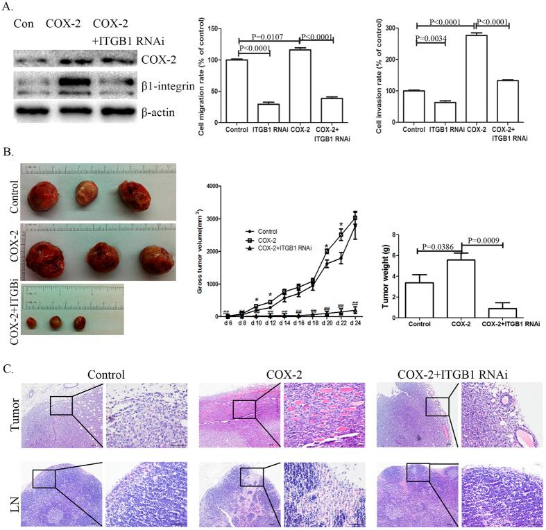 https://cdn.ncbi.nlm.nih.gov/pmc/blobs/0b1a/5031967/3373228338e2/srep33823-f2.jpg