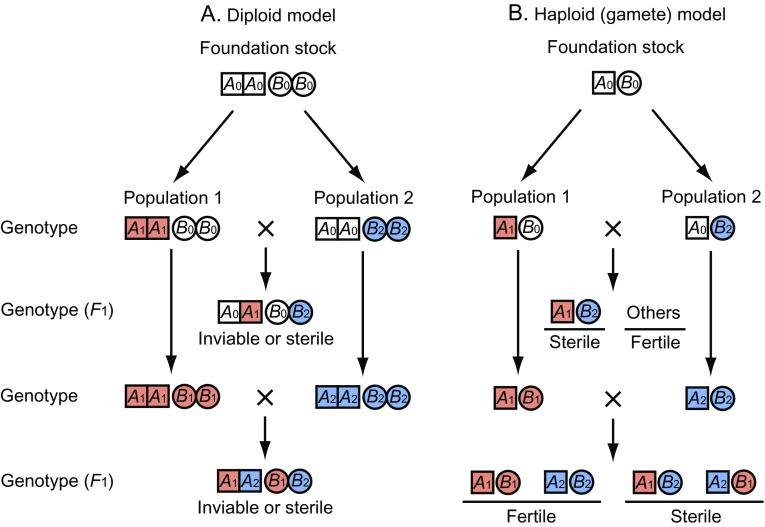 https://cdn.ncbi.nlm.nih.gov/pmc/blobs/0b1c/3227404/804ecd4769c0/gbeevr028f05_3c.jpg