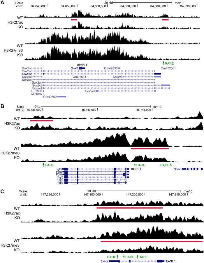 https://cdn.ncbi.nlm.nih.gov/pmc/blobs/0b1c/7259794/c645f56f5ad1/pbio.3000719.g002.jpg