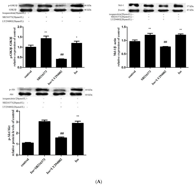 https://cdn.ncbi.nlm.nih.gov/pmc/blobs/0b1d/6273854/d358098df14e/molecules-21-00356-g005a.jpg