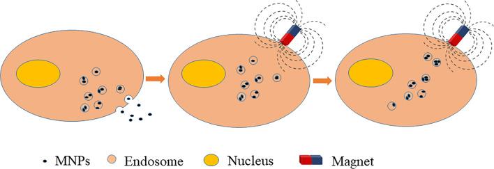 https://cdn.ncbi.nlm.nih.gov/pmc/blobs/0b1f/8973556/82e10a6192c8/13287_2022_2808_Fig1_HTML.jpg