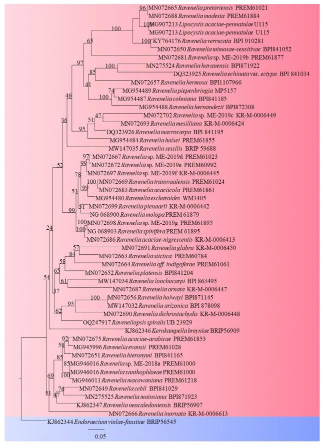 https://cdn.ncbi.nlm.nih.gov/pmc/blobs/0b20/11434878/eb953b63aeb6/pathogens-13-00775-g002.jpg