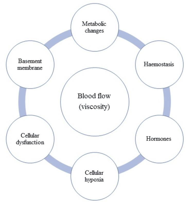 https://cdn.ncbi.nlm.nih.gov/pmc/blobs/0b22/11310740/2974bd7a286a/cureus-0016-00000064211-i04.jpg