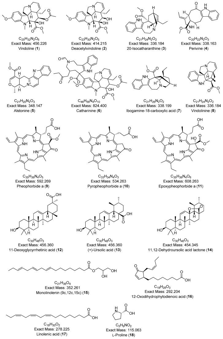 https://cdn.ncbi.nlm.nih.gov/pmc/blobs/0b22/12348932/dbc7a1184a93/plants-14-02395-g005.jpg