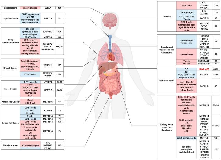 https://cdn.ncbi.nlm.nih.gov/pmc/blobs/0b23/11353047/4cf759ed1772/biomolecules-14-01042-g002.jpg
