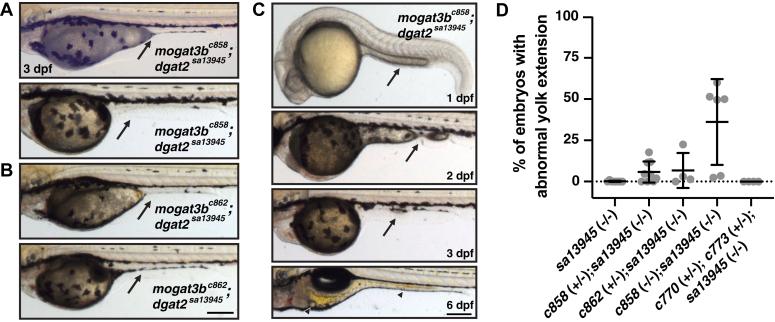 https://cdn.ncbi.nlm.nih.gov/pmc/blobs/0b23/11663968/f0fea6c61e2e/gr7.jpg