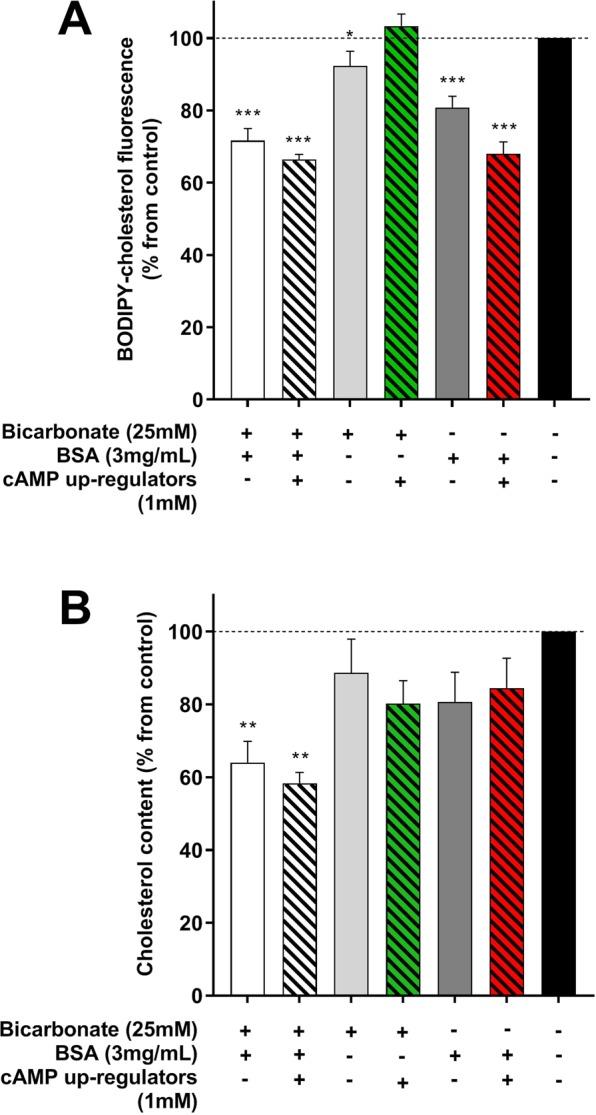 https://cdn.ncbi.nlm.nih.gov/pmc/blobs/0b24/6614389/8e3c434fff37/41598_2019_45831_Fig2_HTML.jpg