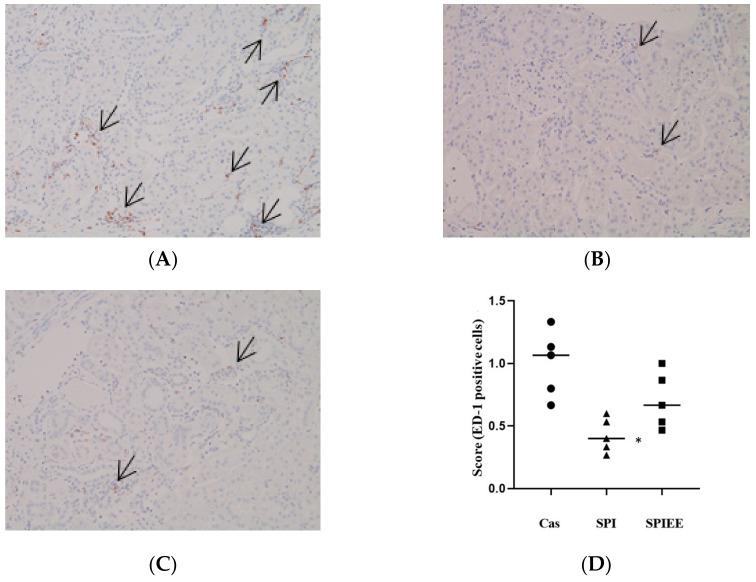 https://cdn.ncbi.nlm.nih.gov/pmc/blobs/0b26/9031346/52bd2315e440/metabolites-12-00330-g002.jpg