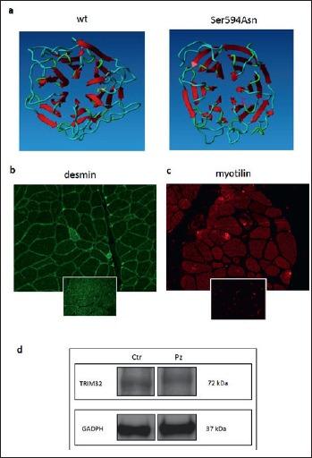 https://cdn.ncbi.nlm.nih.gov/pmc/blobs/0b27/6598407/1d373ce60fd9/am-2019-01-8-g003.jpg