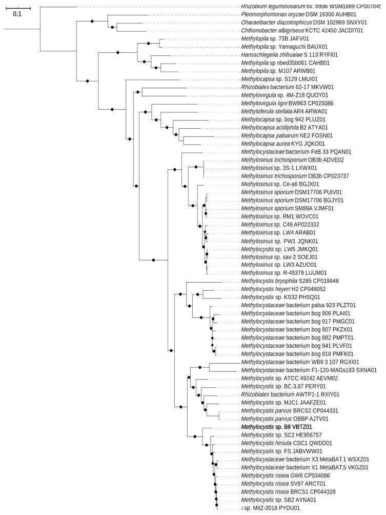 https://cdn.ncbi.nlm.nih.gov/pmc/blobs/0b29/7716213/0be68a46bd34/microorganisms-08-01719-g001.jpg
