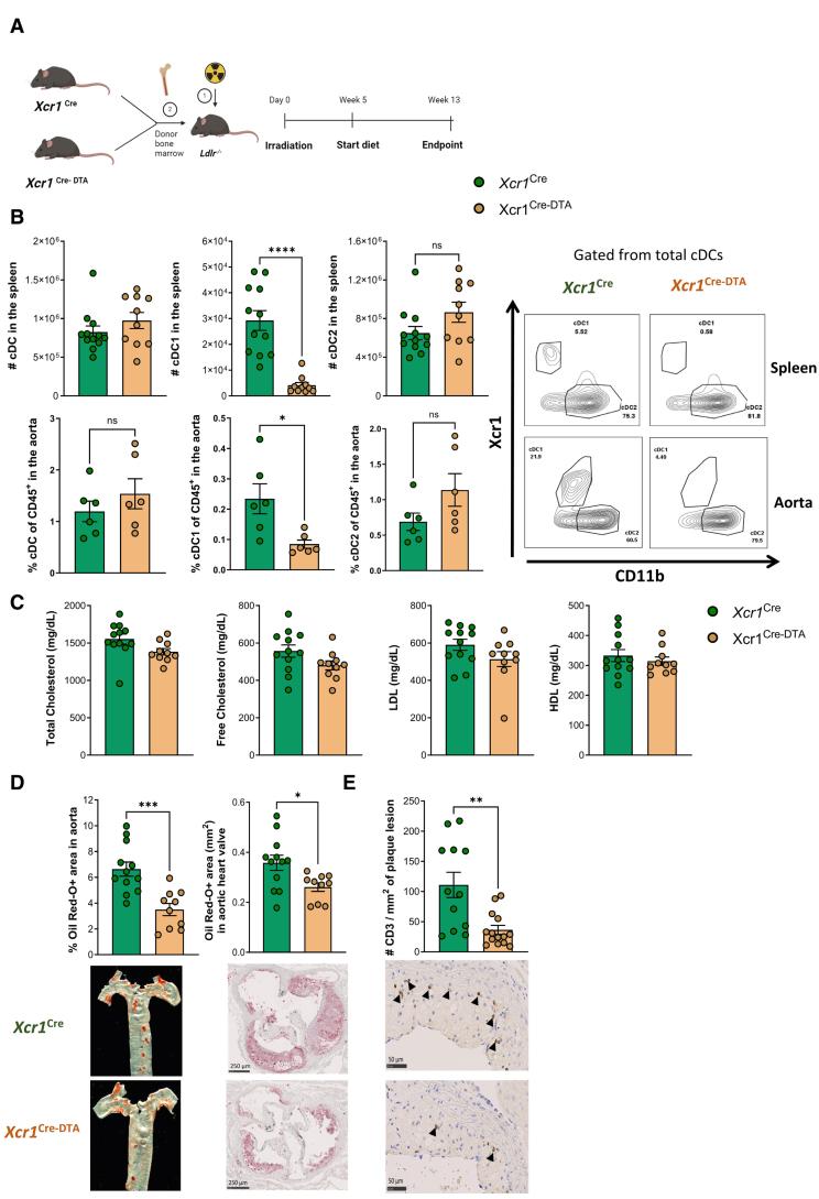 https://cdn.ncbi.nlm.nih.gov/pmc/blobs/0b2a/12272919/19cc4dc386d4/res-137-400-g002.jpg