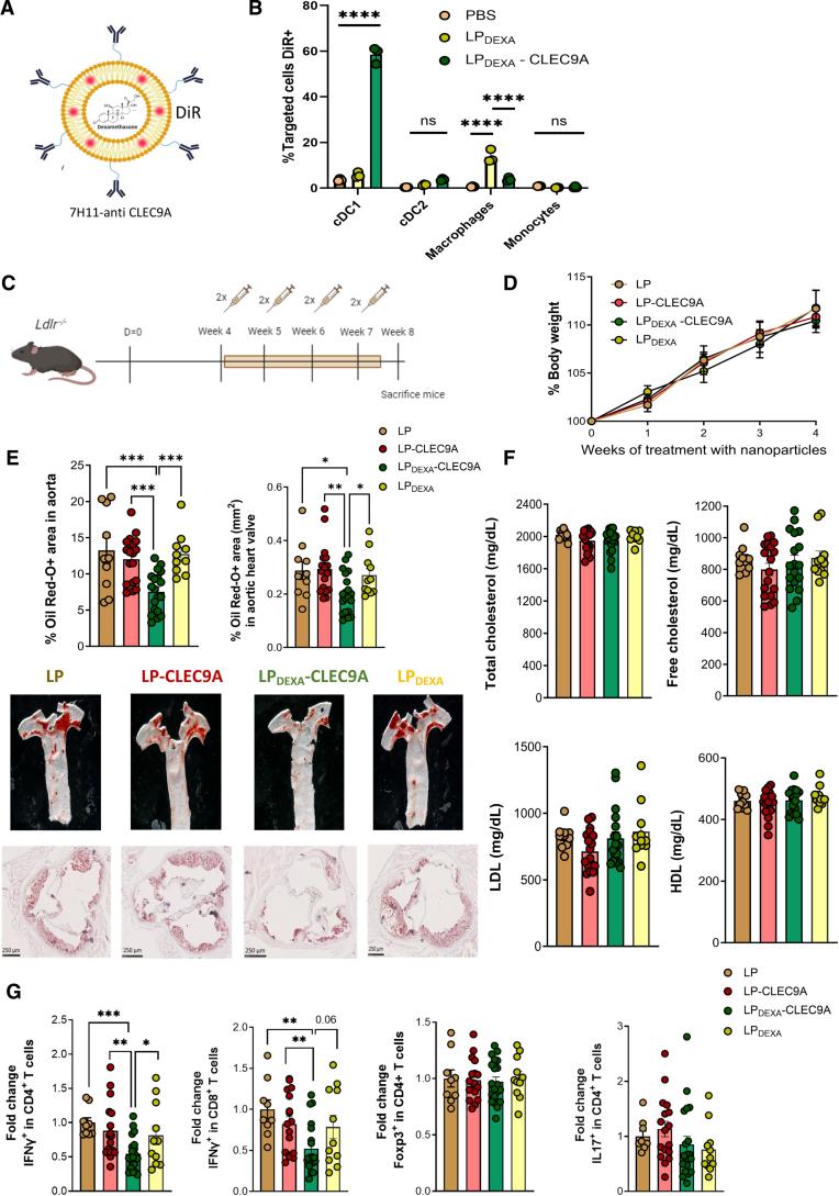 https://cdn.ncbi.nlm.nih.gov/pmc/blobs/0b2a/12272919/32833ace0ac5/res-137-400-g006.jpg