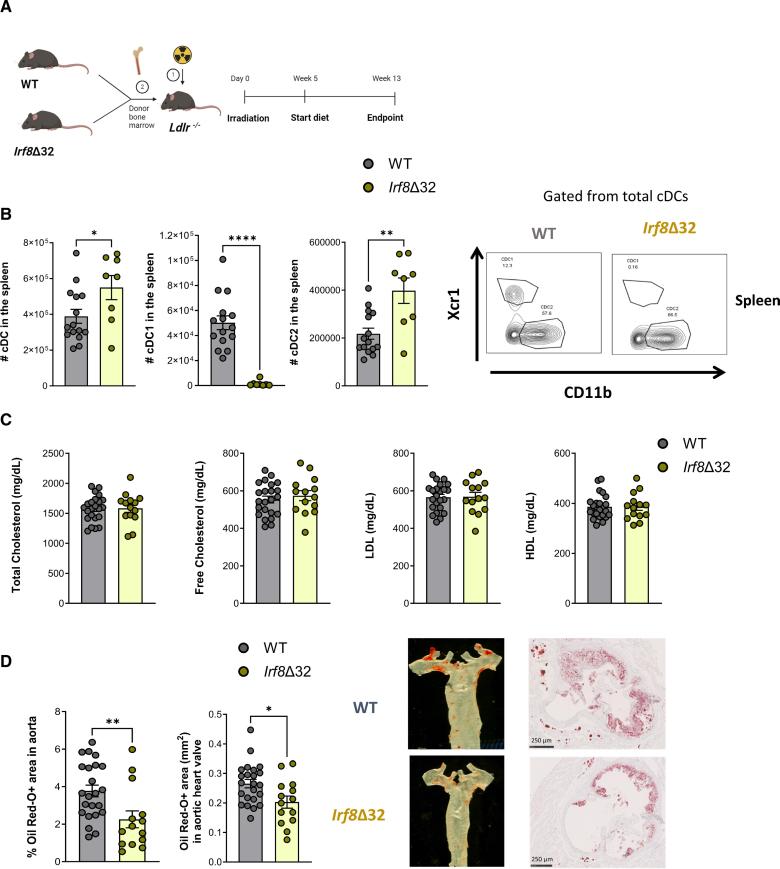 https://cdn.ncbi.nlm.nih.gov/pmc/blobs/0b2a/12272919/b94cb5bd44a3/res-137-400-g003.jpg
