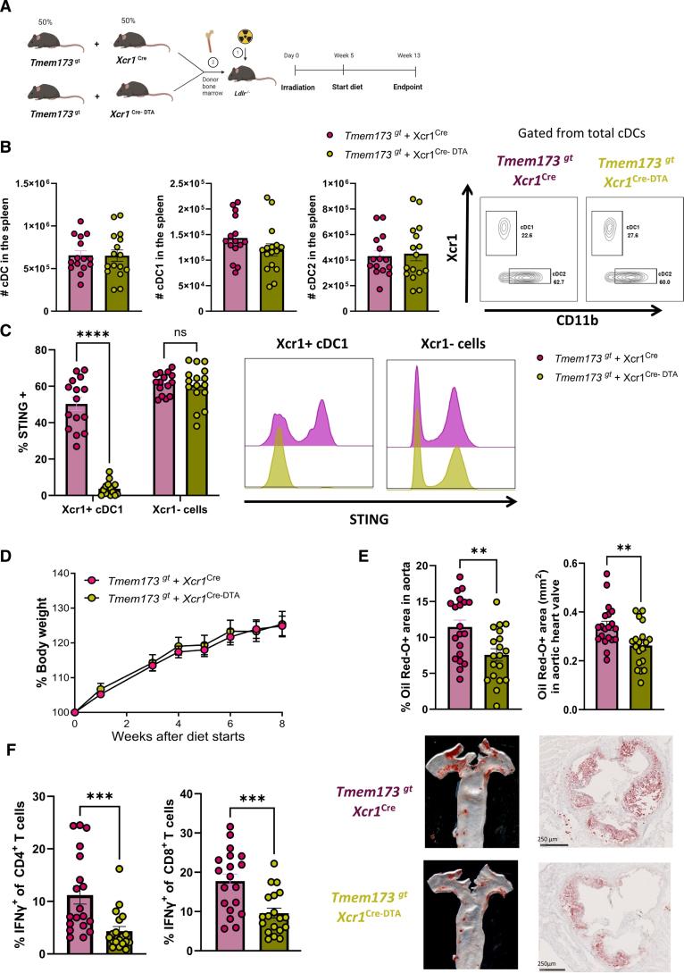 https://cdn.ncbi.nlm.nih.gov/pmc/blobs/0b2a/12272919/bb6ff82c025a/res-137-400-g005.jpg