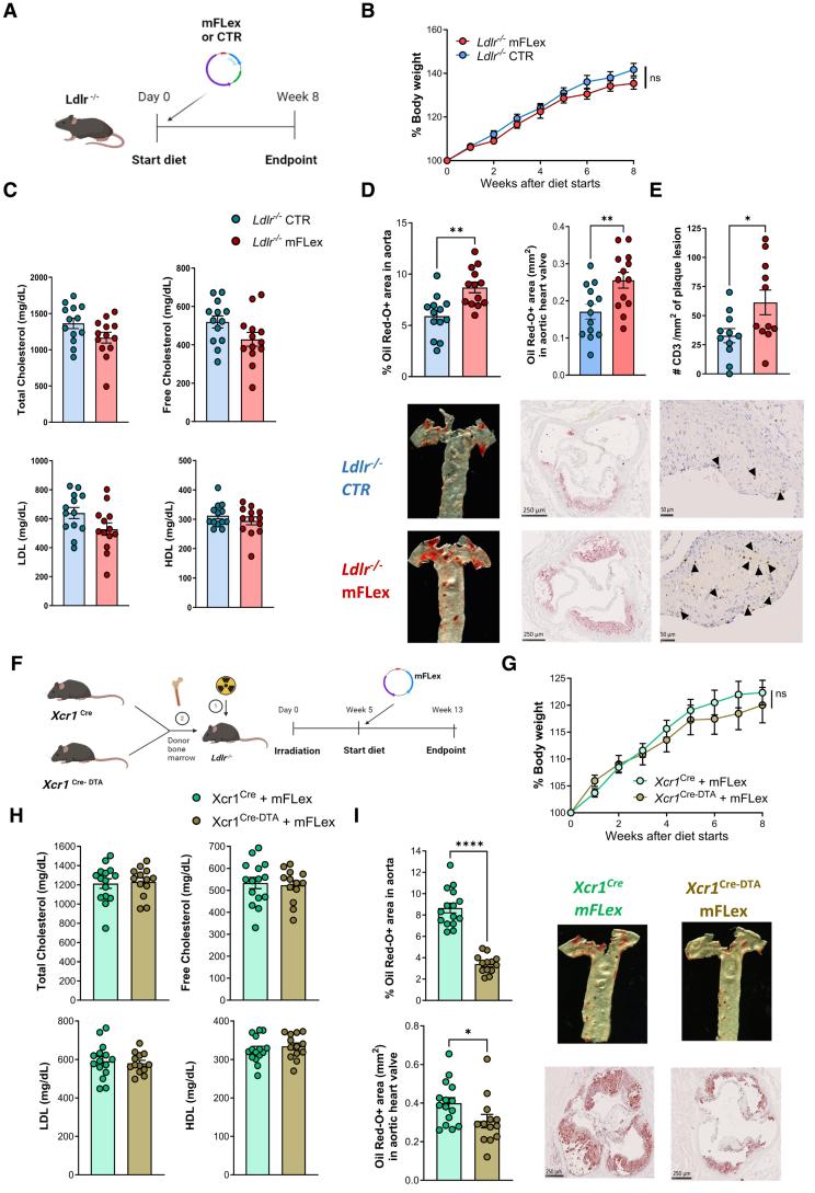https://cdn.ncbi.nlm.nih.gov/pmc/blobs/0b2a/12272919/bff8f1efccb1/res-137-400-g001.jpg