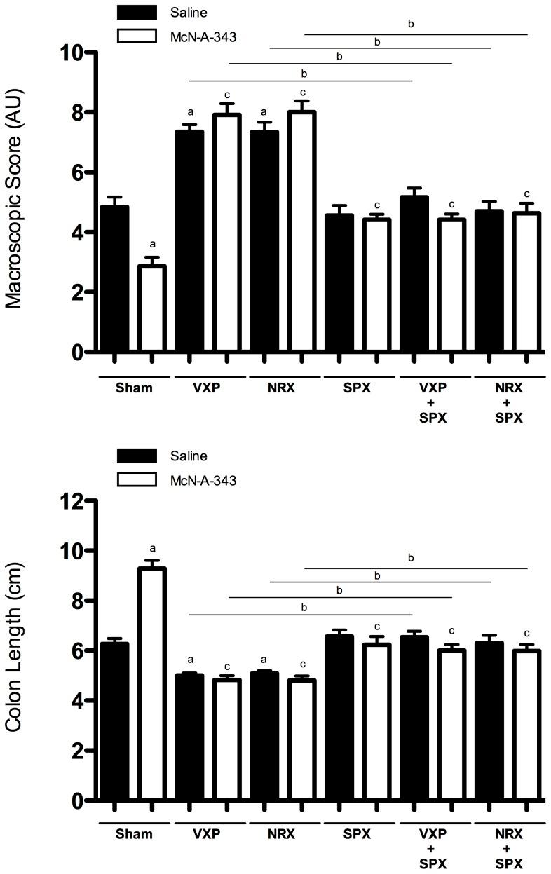 https://cdn.ncbi.nlm.nih.gov/pmc/blobs/0b2c/4190311/91526d42a89b/pone.0109272.g002.jpg