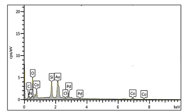 https://cdn.ncbi.nlm.nih.gov/pmc/blobs/0b2f/12375050/2c21d0cb4e45/41598_2025_16962_Fig7_HTML.jpg