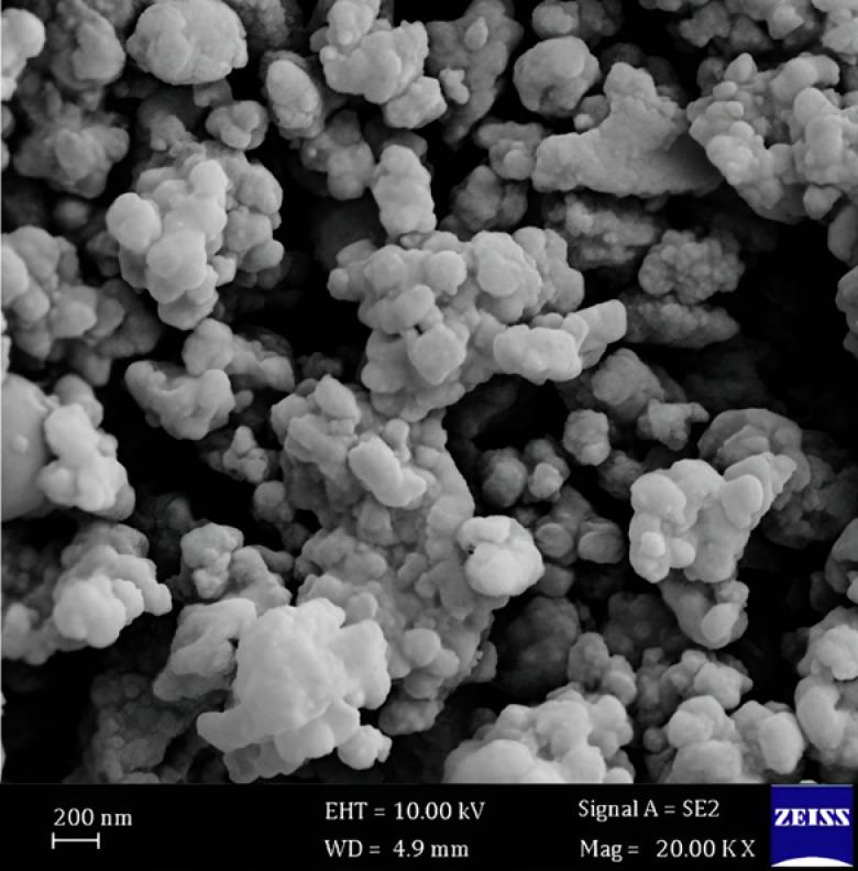 https://cdn.ncbi.nlm.nih.gov/pmc/blobs/0b2f/12375050/5d8deb4bb410/41598_2025_16962_Fig5_HTML.jpg