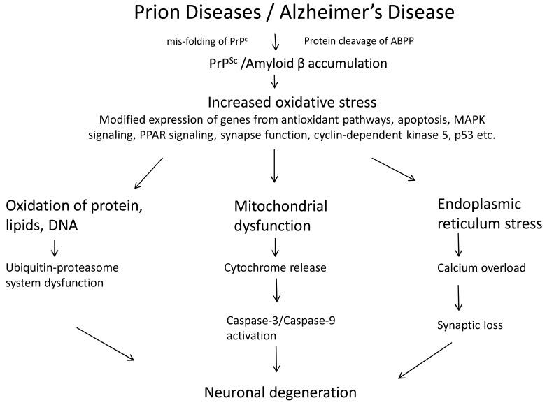 https://cdn.ncbi.nlm.nih.gov/pmc/blobs/0b2f/3401894/30c49964d2fa/CG-13-369_F2.jpg