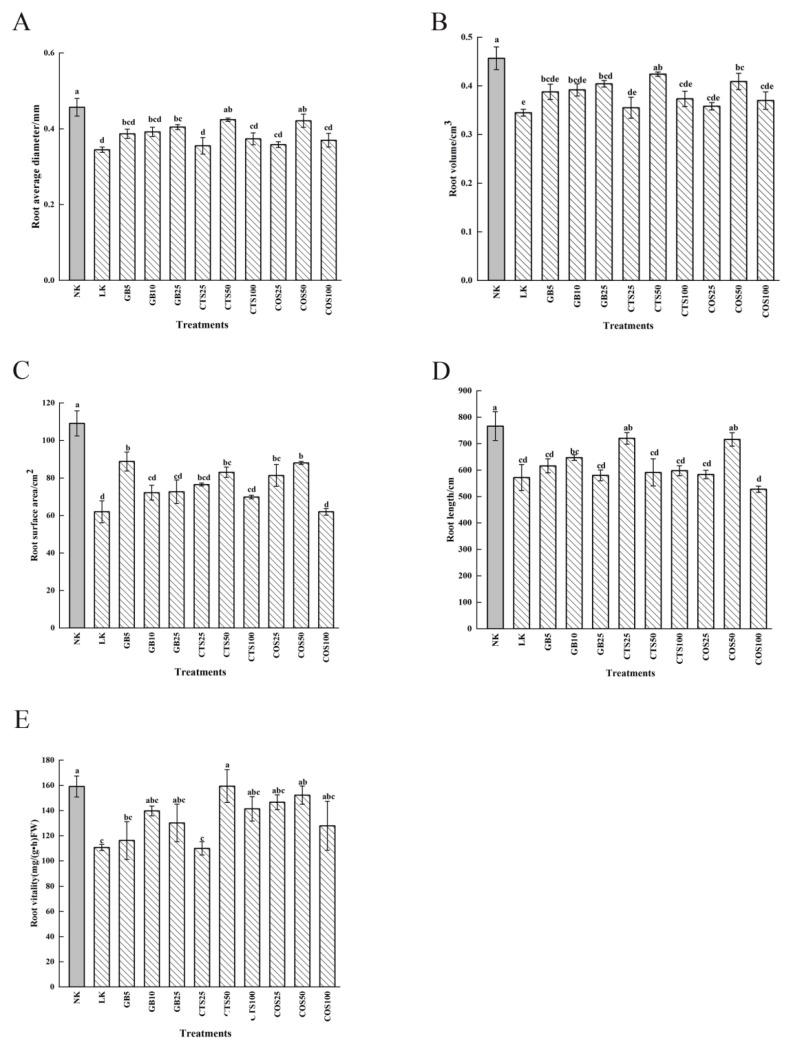 https://cdn.ncbi.nlm.nih.gov/pmc/blobs/0b30/10094205/8ad6dc757708/ijms-24-06202-g002.jpg