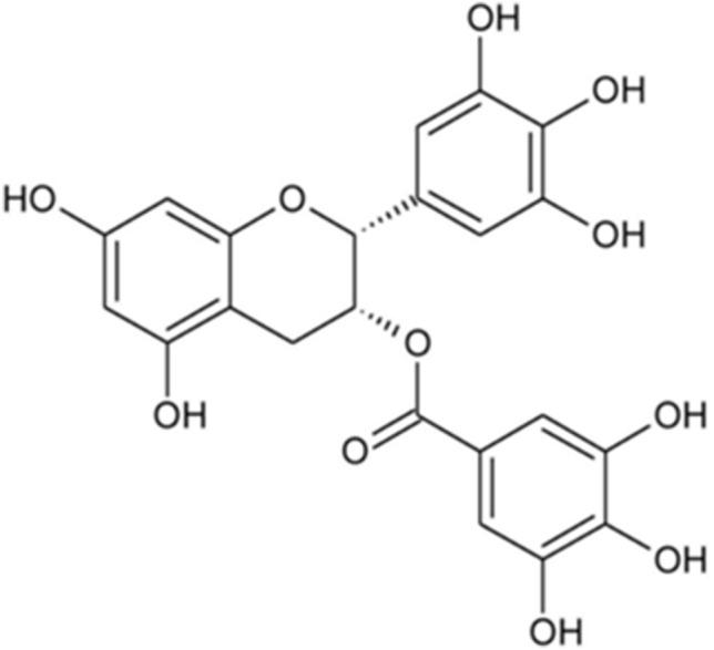 https://cdn.ncbi.nlm.nih.gov/pmc/blobs/0b30/11176361/1ec5ec1d1eef/41598_2024_64478_Fig2_HTML.jpg