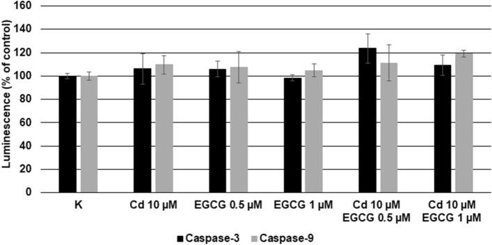 https://cdn.ncbi.nlm.nih.gov/pmc/blobs/0b30/11176361/2b01147bdc36/41598_2024_64478_Fig9_HTML.jpg