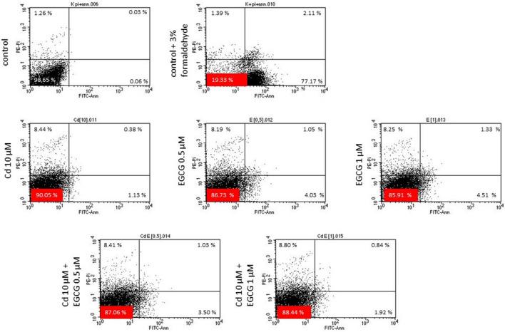 https://cdn.ncbi.nlm.nih.gov/pmc/blobs/0b30/11176361/3597f120099c/41598_2024_64478_Fig8_HTML.jpg