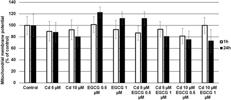 https://cdn.ncbi.nlm.nih.gov/pmc/blobs/0b30/11176361/3b3ae69a279b/41598_2024_64478_Fig7_HTML.jpg