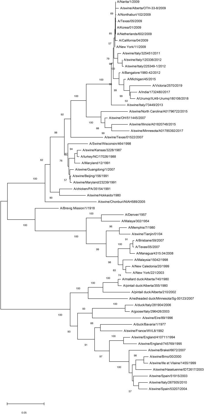 https://cdn.ncbi.nlm.nih.gov/pmc/blobs/0b32/11621219/902dbd7f80a8/fimmu-15-1499754-g003.jpg