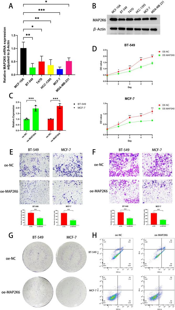 https://cdn.ncbi.nlm.nih.gov/pmc/blobs/0b33/11680899/4dba0113a041/41598_2024_82266_Fig13_HTML.jpg
