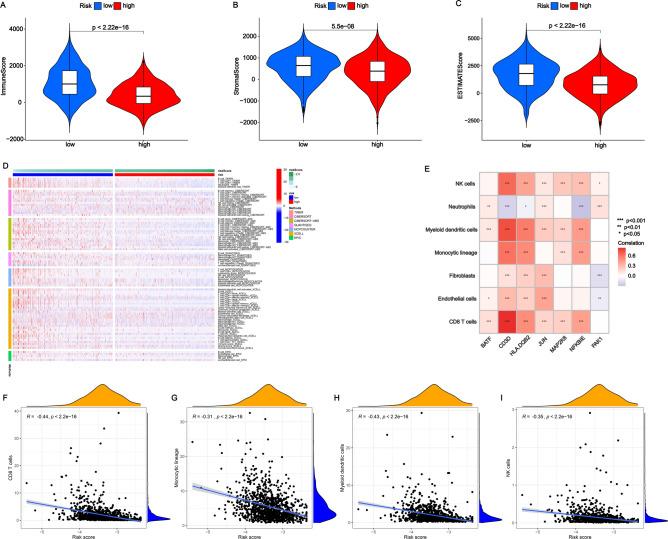 https://cdn.ncbi.nlm.nih.gov/pmc/blobs/0b33/11680899/739d76aab67a/41598_2024_82266_Fig9_HTML.jpg