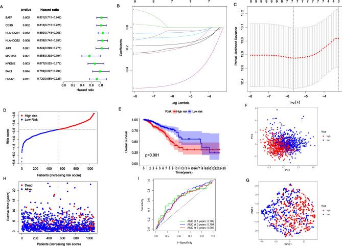 https://cdn.ncbi.nlm.nih.gov/pmc/blobs/0b33/11680899/d445eba46106/41598_2024_82266_Fig4_HTML.jpg