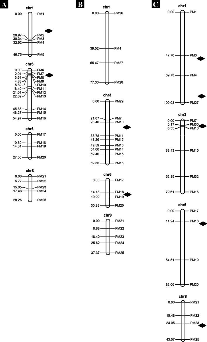 https://cdn.ncbi.nlm.nih.gov/pmc/blobs/0b34/8642974/8e16b90a8889/12870_2021_3353_Fig3_HTML.jpg