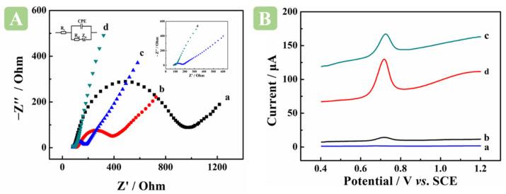 https://cdn.ncbi.nlm.nih.gov/pmc/blobs/0b35/9610813/d4ba0e5e660d/molecules-27-06857-g004.jpg