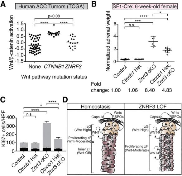 https://cdn.ncbi.nlm.nih.gov/pmc/blobs/0b37/6362817/35f9bd795a1c/209f07.jpg