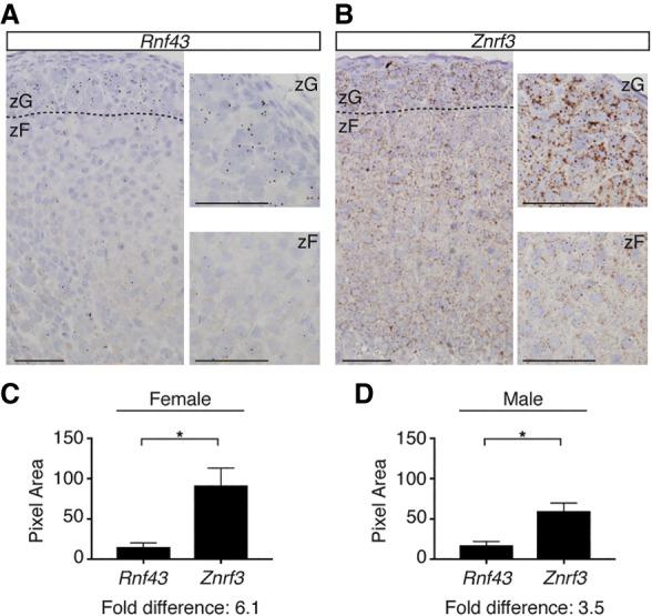 https://cdn.ncbi.nlm.nih.gov/pmc/blobs/0b37/6362817/40cc17fa5d04/209f01.jpg