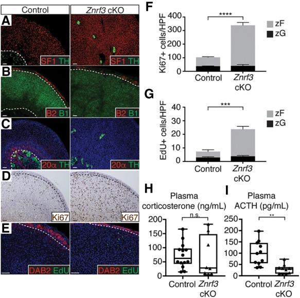 https://cdn.ncbi.nlm.nih.gov/pmc/blobs/0b37/6362817/441f84a7f4dc/209f03.jpg