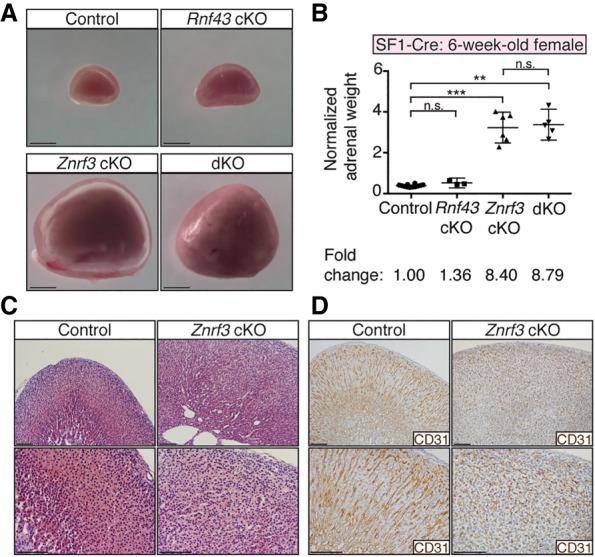 https://cdn.ncbi.nlm.nih.gov/pmc/blobs/0b37/6362817/5ca70340014f/209f02.jpg