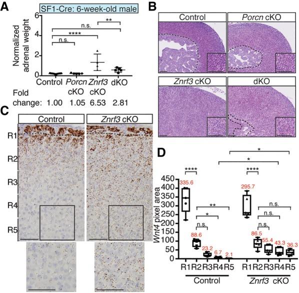 https://cdn.ncbi.nlm.nih.gov/pmc/blobs/0b37/6362817/cc73b9703c40/209f05.jpg
