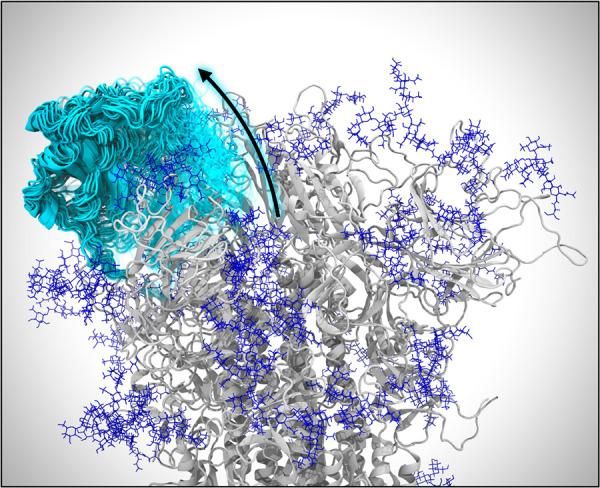https://cdn.ncbi.nlm.nih.gov/pmc/blobs/0b37/8064023/c9a5d59621a6/10.1177_10943420211006452-fig2.jpg